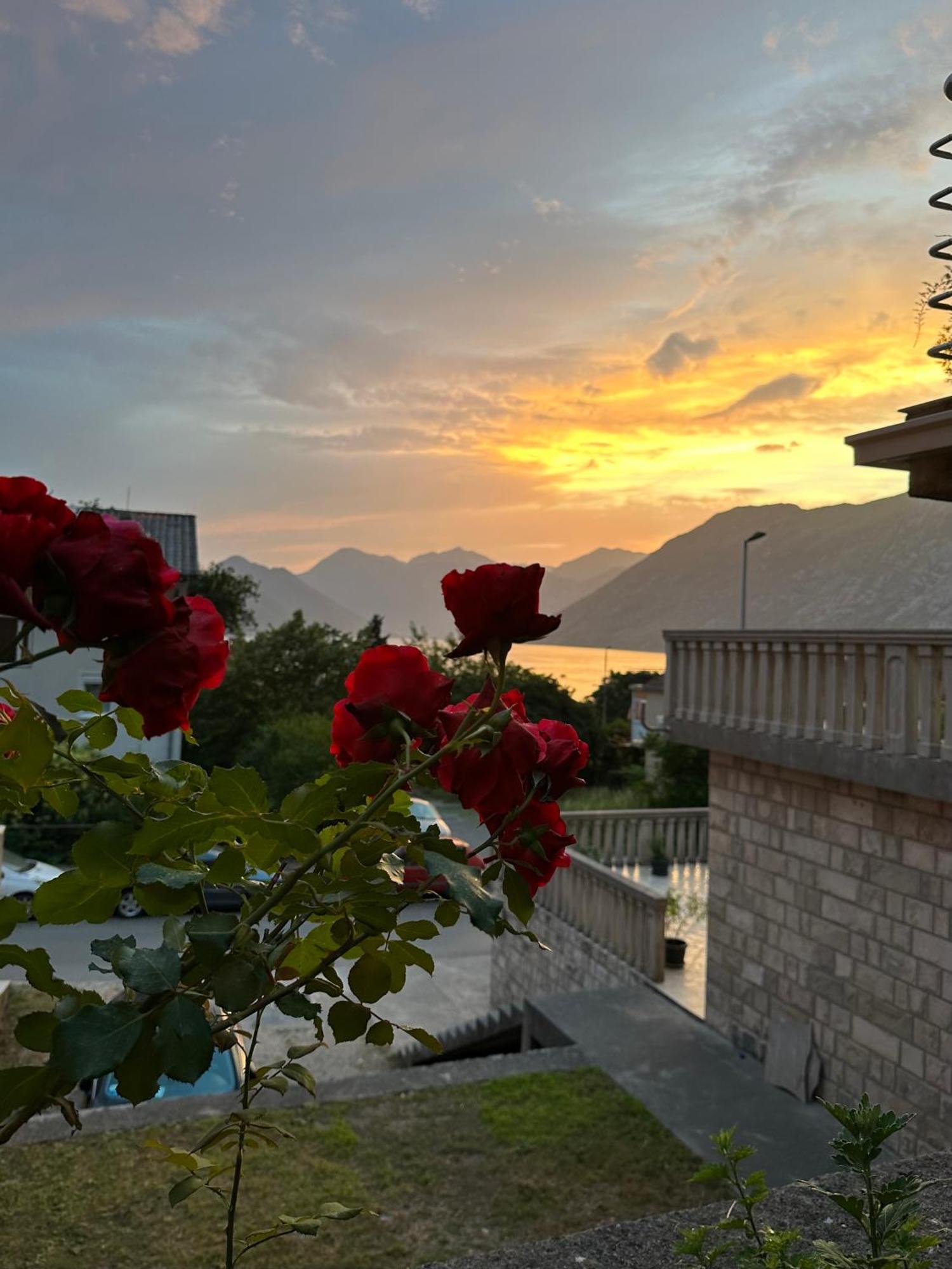 Sunny Apartment Kotor Eksteriør bilde