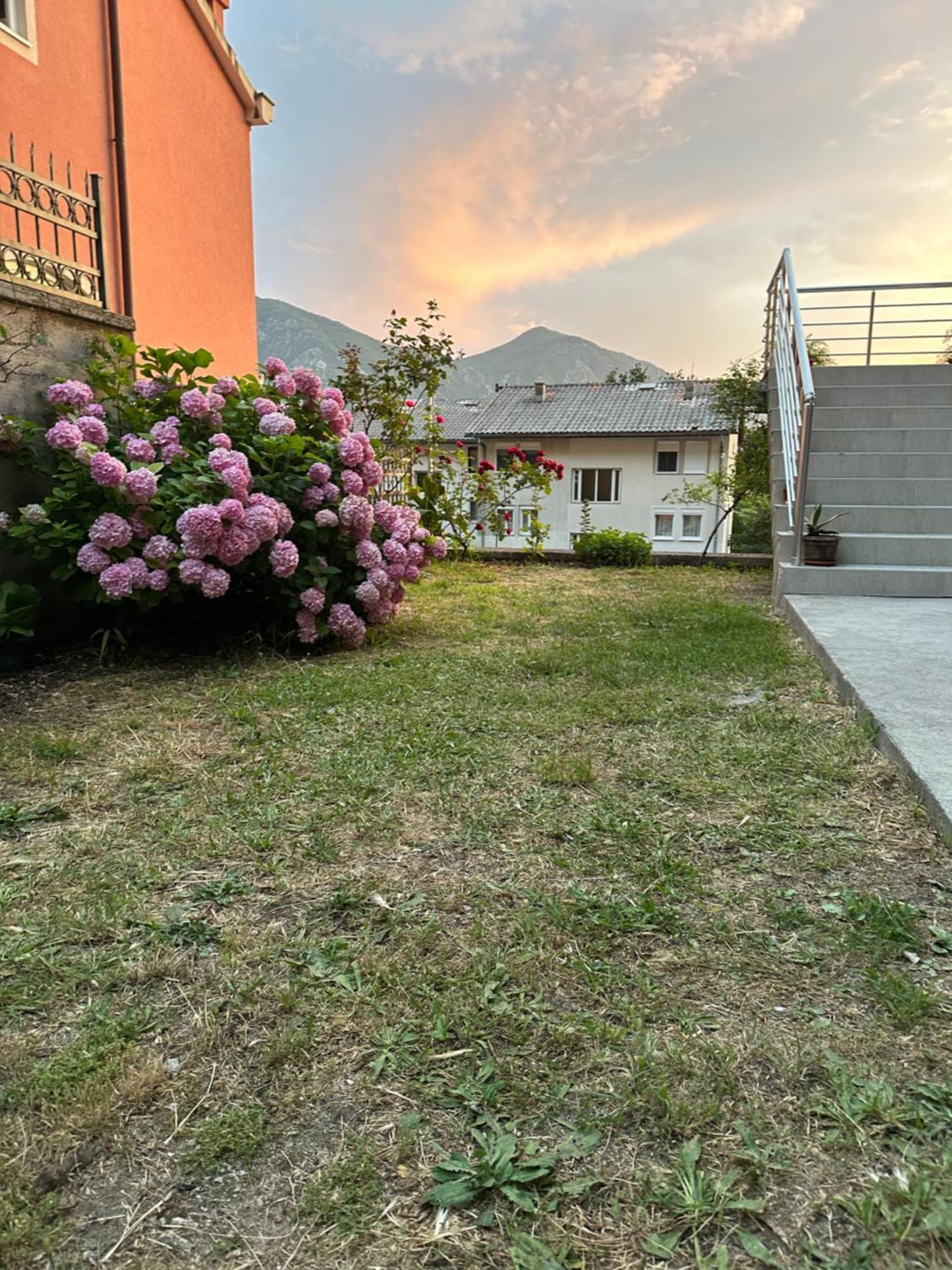 Sunny Apartment Kotor Eksteriør bilde